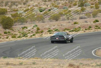 media/May-03-2025-Lucky Dog Racing (Sat) [[206de64b9d]]/Turn 2 (1020am-1120am)/